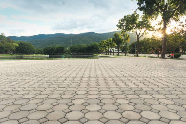 Best Driveway Pavers Contractor  in Old Miakka, FL